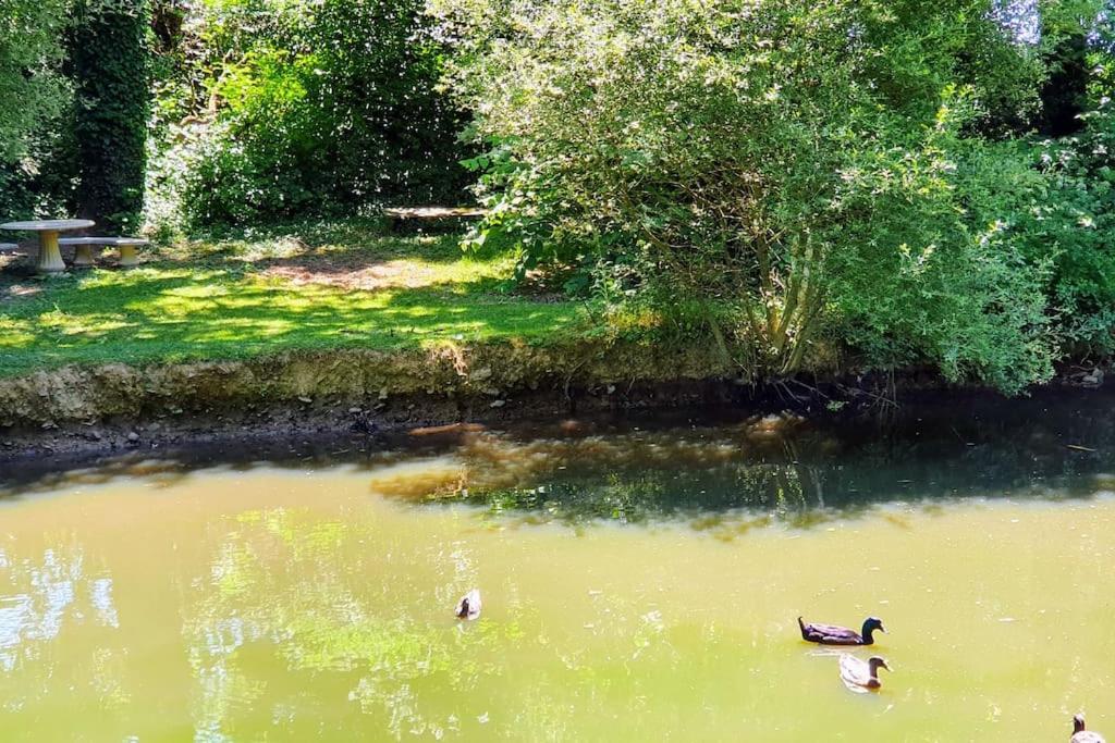 Tout Le Confort Au Milieu D'Un Parc Botanique Noyal-Muzillac Ngoại thất bức ảnh