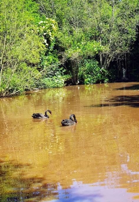 Tout Le Confort Au Milieu D'Un Parc Botanique Noyal-Muzillac Ngoại thất bức ảnh